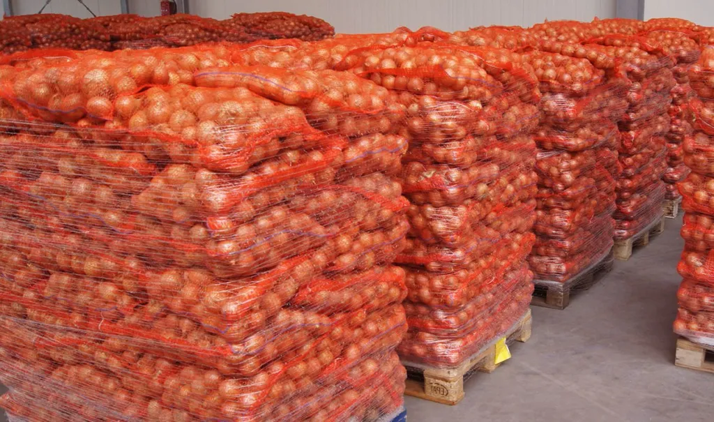 лук на экспорт | onions for export в Волгограде и Волгоградской области