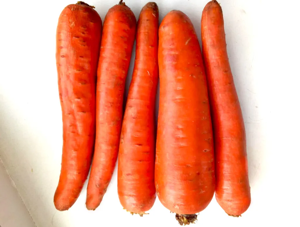 морковь сорт Абако мытая, крупная, оптом в Волгограде и Волгоградской области 4