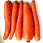 морковь сорт Абако мытая, крупная, оптом в Волгограде и Волгоградской области 4