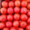 помидоры Лоджейн 15 руб.  в Волгограде 2