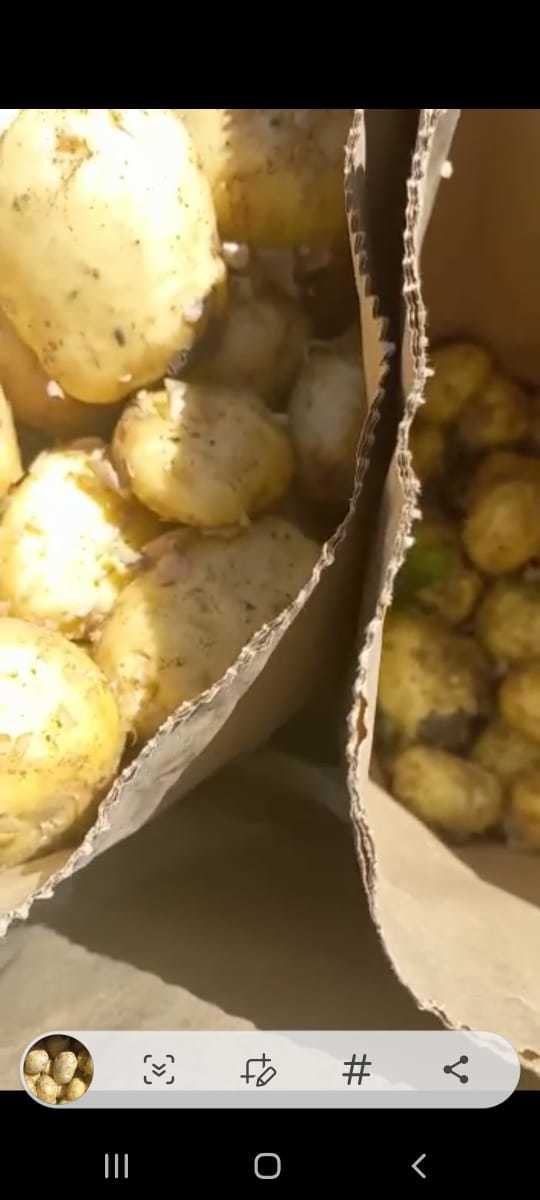 картофель оптом в Волгограде и Волгоградской области