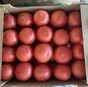 помидор розовый  в Волгограде и Волгоградской области
