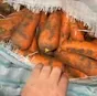 морковь от производителя в Волгограде и Волгоградской области 3