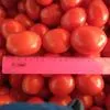 помидоры 25 руб в Волгограде
