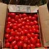 помидоры Хайнц 15 руб.  в Волгограде 2