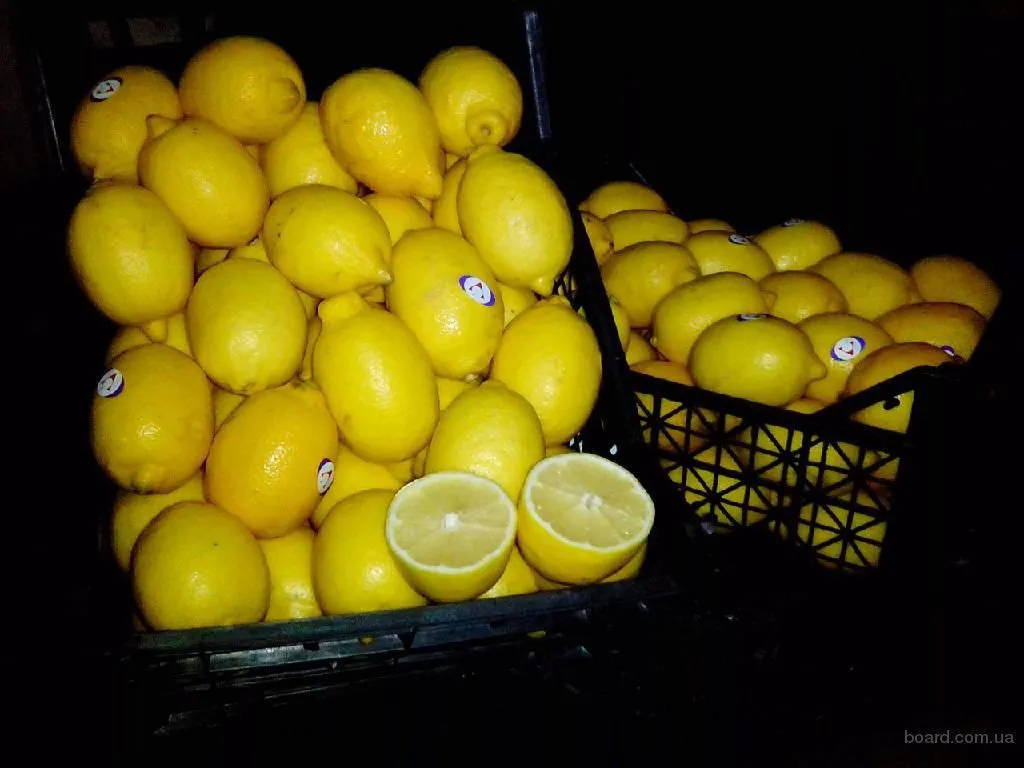 продаем лимон оптом в Волгограде
