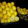 продаем лимон оптом в Волгограде