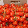 помидоры сорта Сабина в Волгограде