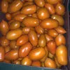помидоры карамелька и сливка в Волгограде 2